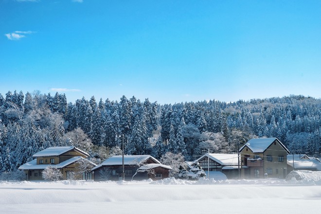 Lạnh băng giá mọi thứ nhưng mùa đông ở Nhật vẫn đẹp mê hồn - Ảnh 7.