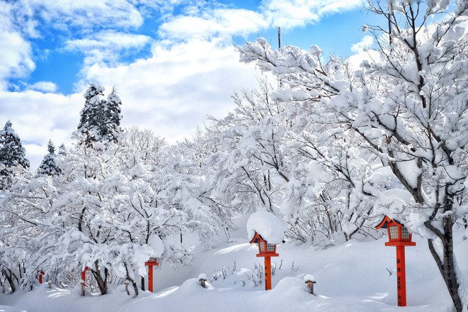 Lạnh băng giá mọi thứ nhưng mùa đông ở Nhật vẫn đẹp mê hồn - Ảnh 1.