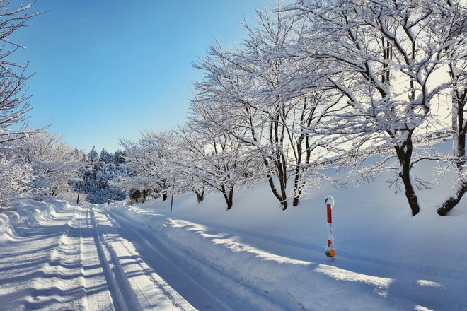 Lạnh băng giá mọi thứ nhưng mùa đông ở Nhật vẫn đẹp mê hồn - Ảnh 5.