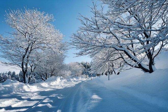 Lạnh băng giá mọi thứ nhưng mùa đông ở Nhật vẫn đẹp mê hồn - Ảnh 14.
