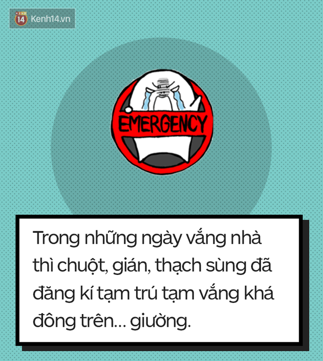 Quay lại thành phố sau kì nghỉ Tết: chưa gì mà đã thấy sóng gió rồi! - Ảnh 9.