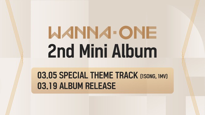 Hậu tin đồn hẹn hò, center quốc dân Kang Daniel được đặc cách solo luôn vào đúng lúc Wanna One comeback? - Ảnh 2.