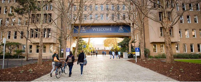 Những điều kh&aacute;c nhau về cuộc sống đại học Mỹ v&agrave; &Uacute;c m&agrave; bạn chưa bao giờ được nghe - Ảnh 2.