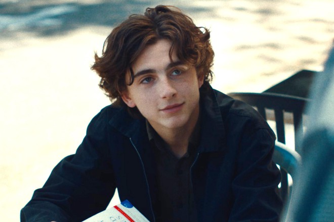 Timothée Chalamet: Đổi đời nhờ vai diễn trong bộ phim đồng tính hot nhất năm 2017 - Ảnh 1.