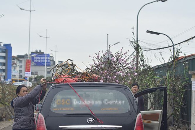 Nhà giàu Hà Nội chi tiền triệu chơi hoa lê rừng sau Tết - Ảnh 18.