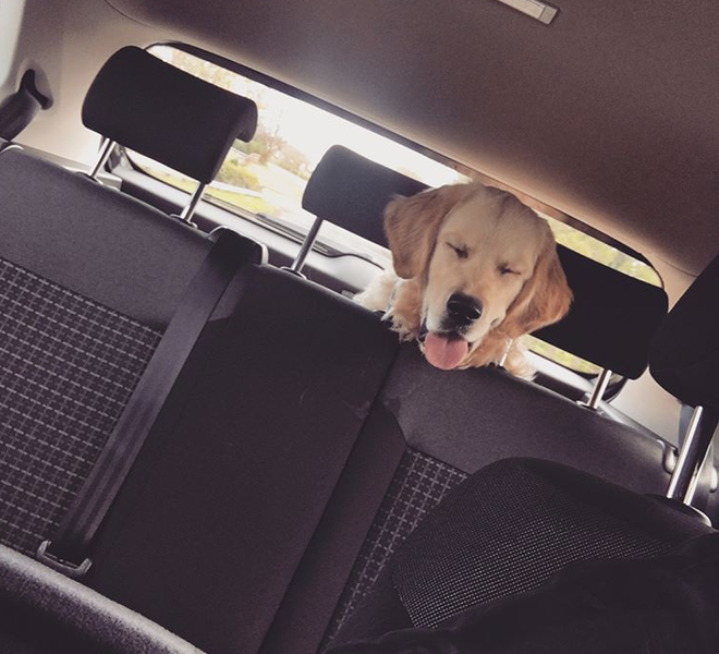 Thư an ủi c&ocirc; gi&aacute;o v&igrave; mới mất c&uacute;n cưng của cậu b&eacute; n&agrave;y sẽ khiến bạn tan chảy v&igrave; qu&aacute; ngọt ng&agrave;o - Ảnh 9.