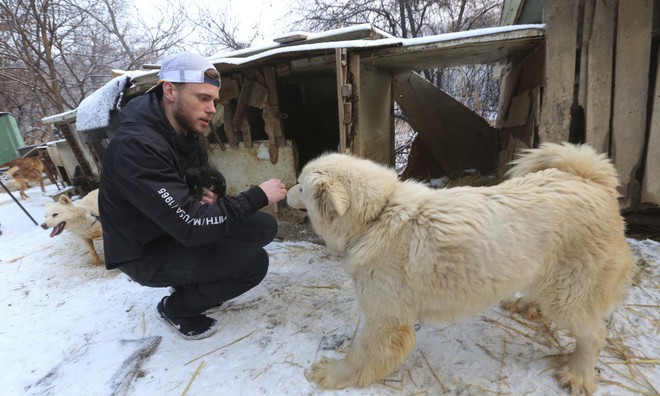 Vận động viên trượt tuyết Mỹ giải cứu 90 chú chó được nuôi lấy thịt, đóng cửa cả trang trại chó khi đang thi đấu tại Hàn Quốc - Ảnh 3.