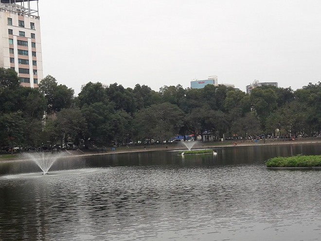 Sau Tết đ&agrave;n thi&ecirc;n nga ở H&agrave; Nội c&oacute; biểu hiện &ldquo;lạ&rdquo;? - Ảnh 2.