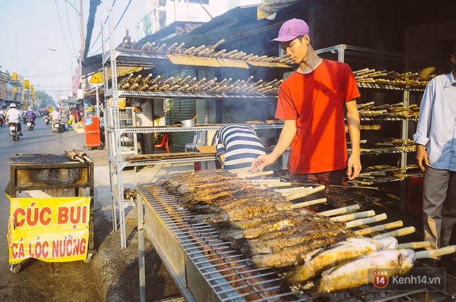 Hàng chục tấn cá lóc giá 150.000 đồng/con được tiêu thụ trong ngày Thần tài ở Sài Gòn - Ảnh 1.