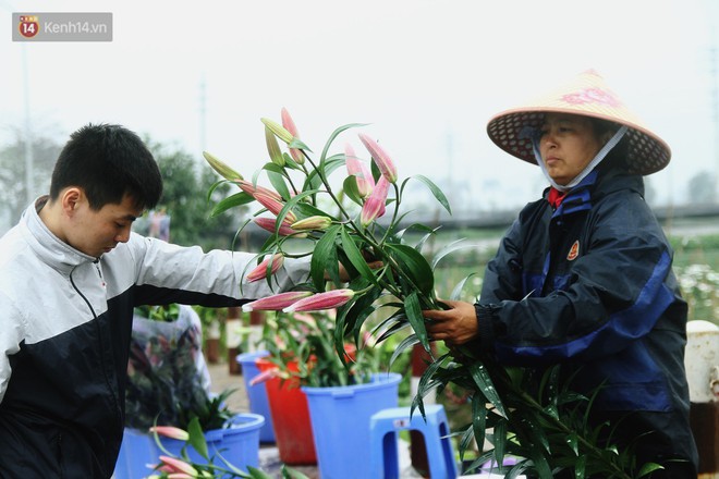 Nông dân Tây Tựu điêu đứng vì hoa ly nở muộn, nhưng không có chuyện một cành ly giá chỉ 2.000 đồng - Ảnh 10.