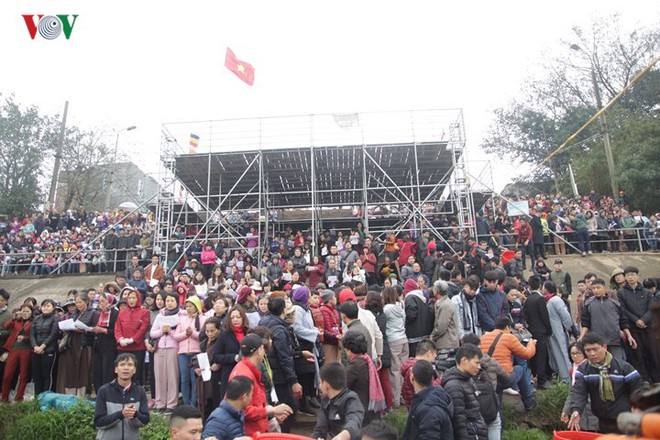 Hơn 10.000 người tham gia đại lễ phóng sinh 5 tấn cá tại Hà Nội - Ảnh 3.