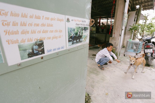 Gặp ch&agrave;ng trai từ phụ bếp trở th&agrave;nh &ldquo;triệu ph&uacute;&rdquo; sở hữu trang trại nu&ocirc;i ch&oacute; Ph&uacute; Quốc trị gi&aacute; h&agrave;ng tỷ đồng - Ảnh 3.