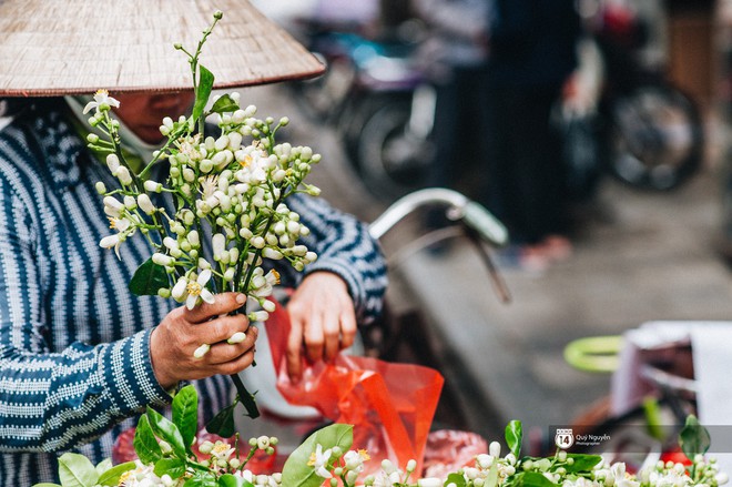 Giữa tiết trời nồm ẩm đầu xuân, có một Hà Nội nên thơ và dịu dàng hương hoa bưởi - Ảnh 3.