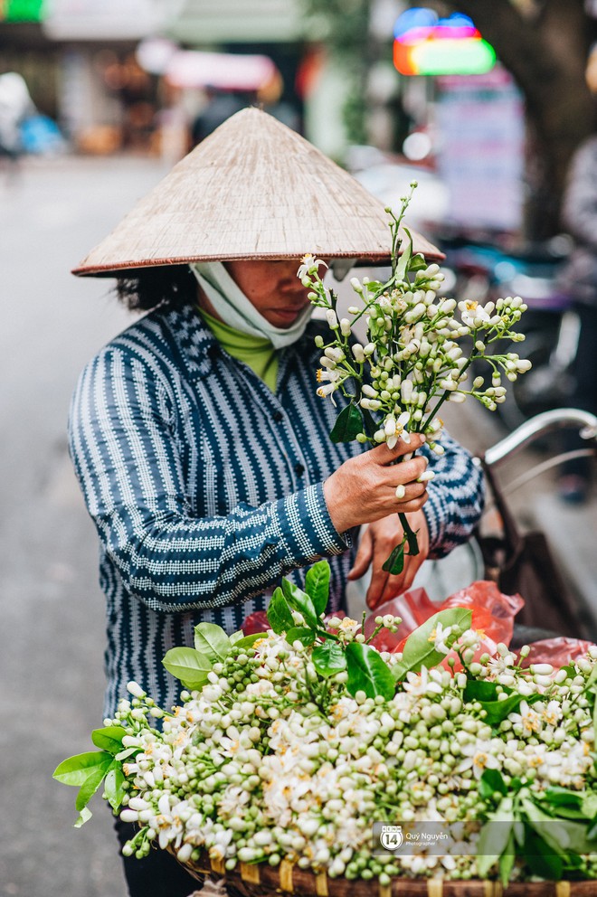 Giữa tiết trời nồm ẩm đầu xuân, có một Hà Nội nên thơ và dịu dàng hương hoa bưởi - Ảnh 5.