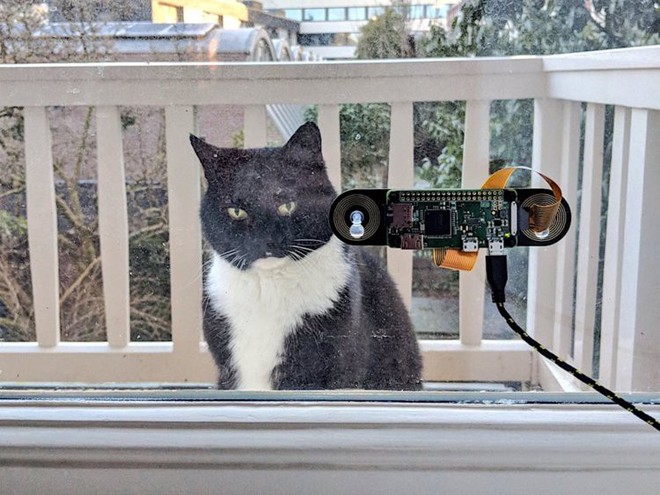 Mèo cưng bắt ông chủ phải lắp cả camera nhận diện mặt mèo để mở cửa - Ảnh 1.