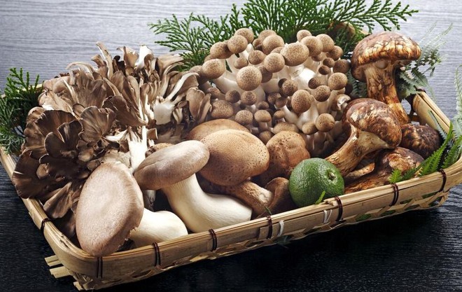 Tăng cường bổ sung c&aacute;c loại thực phẩm gi&agrave;u vitamin B2 để th&uacute;c đẩy qu&aacute; tr&igrave;nh trao đổi chất trong cơ thể - Ảnh 1.