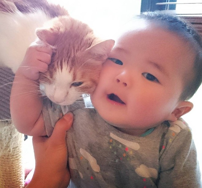 Tình bạn đặc biệt giữa nhóc tỳ 2 tuổi người Nhật và boss mèo chảnh chọe - Ảnh 1.