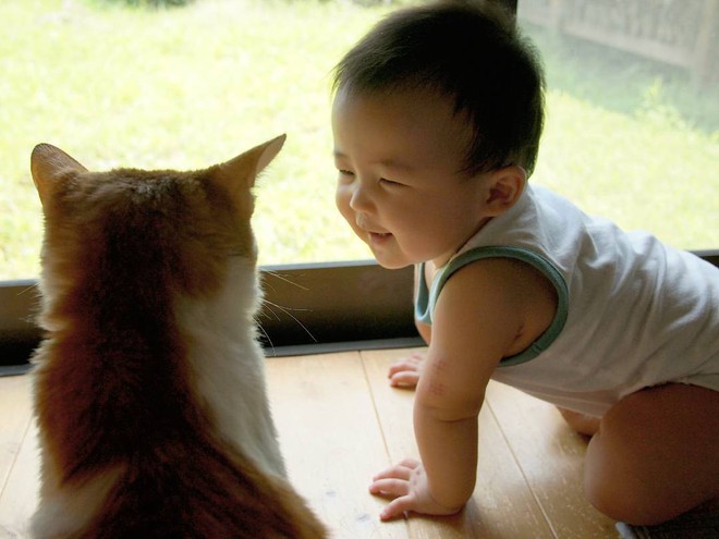 Tình bạn đặc biệt giữa nhóc tỳ 2 tuổi người Nhật và boss mèo chảnh chọe - Ảnh 2.