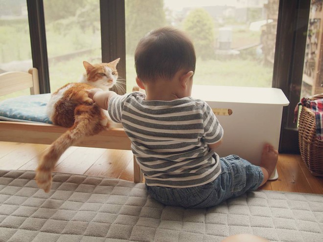 Tình bạn đặc biệt giữa nhóc tỳ 2 tuổi người Nhật và boss mèo chảnh chọe - Ảnh 7.