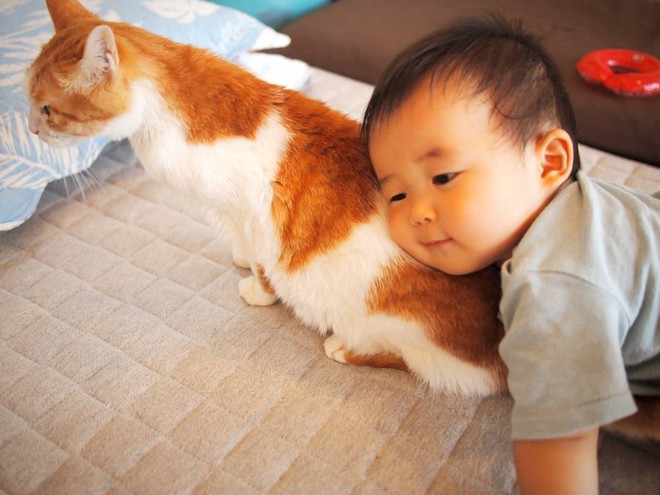 Tình bạn đặc biệt giữa nhóc tỳ 2 tuổi người Nhật và boss mèo chảnh chọe - Ảnh 6.