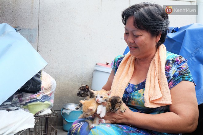 Chuyện cô giúp việc, dì bán vải chung sức cứu giúp hàng nghìn chú mèo suốt 17 năm ở Sài Gòn - Ảnh 7.