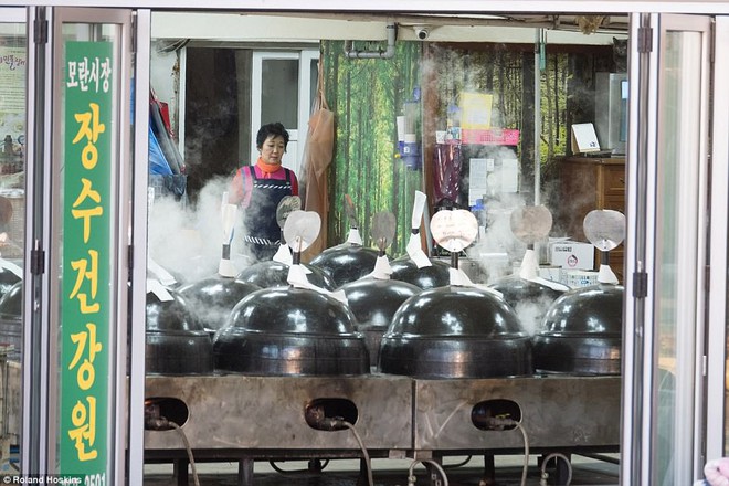 T&igrave;nh cảnh khốn khổ của những ch&uacute; ch&oacute; được b&agrave;y b&aacute;n c&ocirc;ng khai tại H&agrave;n Quốc khiến nhiều người kh&ocirc;ng khỏi r&ugrave;ng m&igrave;nh - Ảnh 10.