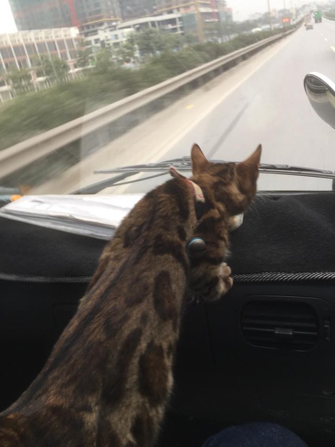 Ch&ugrave;m ảnh: Khi boss c&ugrave;ng sen vượt trăm dặm đường về qu&ecirc; ăn tết - Ảnh 9.