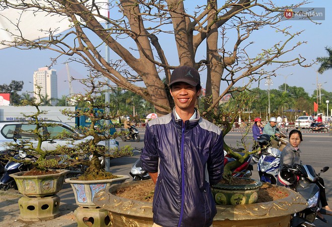 Cận cảnh &ldquo;cụ&rdquo; mai d&aacute;ng đa đầu l&agrave;ng hơn 100 tuổi, đại gia trả gi&aacute; 2 tỷ đồng vẫn kh&ocirc;ng b&aacute;n ở Đ&agrave; Nẵng - Ảnh 5.