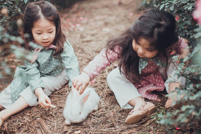 C&ocirc; b&eacute; sợ ch&oacute; t&aacute;i xuất trong bộ ảnh mới: Chụp ảnh với thỏ nhưng chỉ d&aacute;m nh&igrave;n! - Ảnh 5.