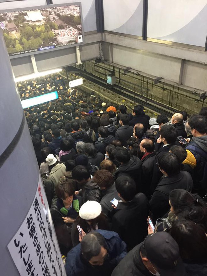 Những h&igrave;nh ảnh r&ugrave;ng m&igrave;nh trong b&atilde;o tuyết kỷ lục tại Tokyo: H&agrave;ng trăm chuyến bay bị hủy, xe đạp đ&oacute;ng băng ngo&agrave;i trời - Ảnh 6.
