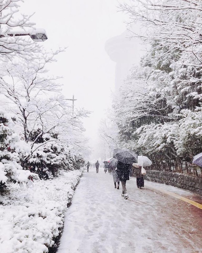 Những h&igrave;nh ảnh r&ugrave;ng m&igrave;nh trong b&atilde;o tuyết kỷ lục tại Tokyo: H&agrave;ng trăm chuyến bay bị hủy, xe đạp đ&oacute;ng băng ngo&agrave;i trời - Ảnh 9.