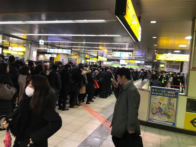 Những h&igrave;nh ảnh r&ugrave;ng m&igrave;nh trong b&atilde;o tuyết kỷ lục tại Tokyo: H&agrave;ng trăm chuyến bay bị hủy, xe đạp đ&oacute;ng băng ngo&agrave;i trời - Ảnh 12.