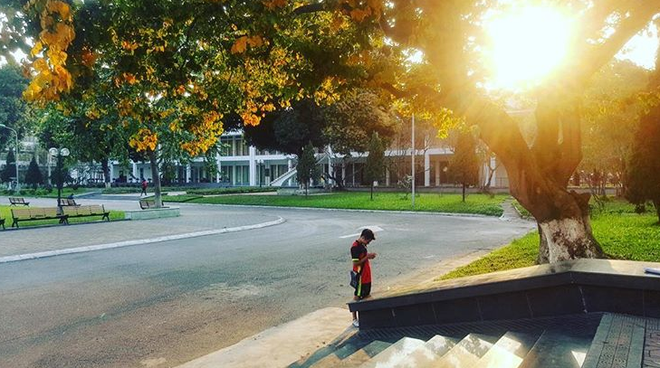 B&aacute;ch Khoa, Sư Phạm m&ugrave;a c&acirc;y thay l&aacute;, đẹp dịu d&agrave;ng như thu ở trời &Acirc;u - Ảnh 13.