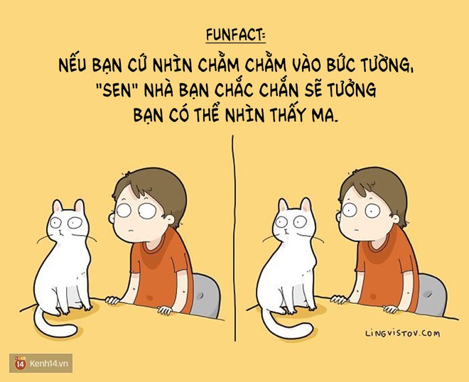 Có thể bạn thừa biết: Mèo giống như con gái vậy, đáng yêu nhưng khó ưa cực kì! - Ảnh 19.