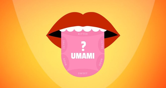 Ai cũng bàn về Umami - hương vị bí ẩn số 5 trong ẩm thực, nhưng nó là gì? - Ảnh 1.