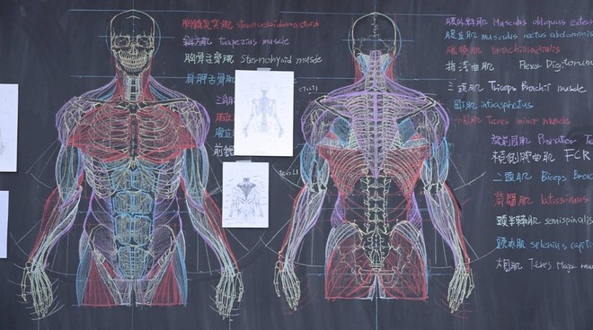 Thầy giáo nhà người ta: Vừa điển trai lại vẽ hình minh họa cực đẹp khiến học sinh mê mẩn - Ảnh 6.