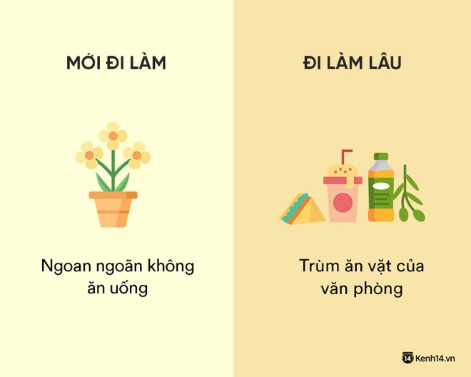 Sự khác nhau phũ phàng giữa hồi mới đi làm và khi đã đi làm lâu năm - Ảnh 9.