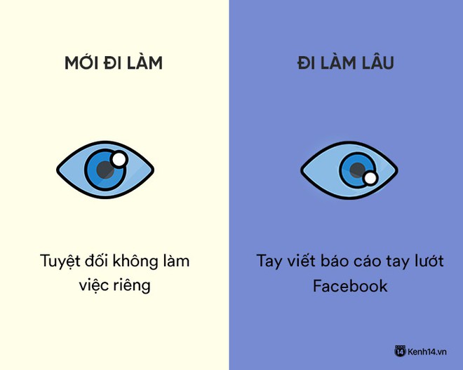 Sự khác nhau phũ phàng giữa hồi mới đi làm và khi đã đi làm lâu năm - Ảnh 11.