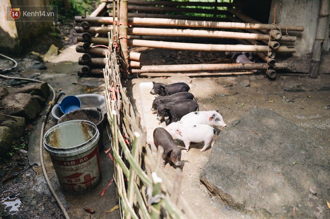 Chuyện về Cún: Em bé Down ở Yên Bái mang nhiều bất hạnh và sự chung tay của cả cộng đồng - Ảnh 2.