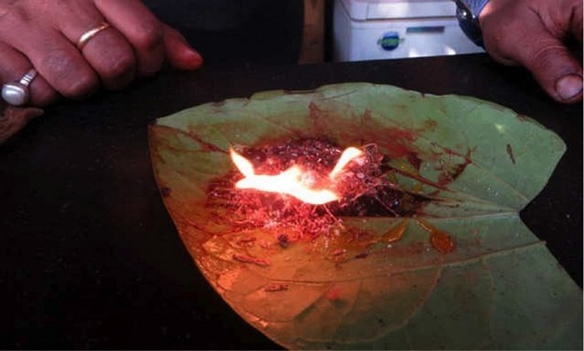 Những món vừa ăn vừa phải đốt lửa phừng phừng mới ngon, có món đã từng rất hot tại Việt Nam Trau-lua-1-152125658181974533724