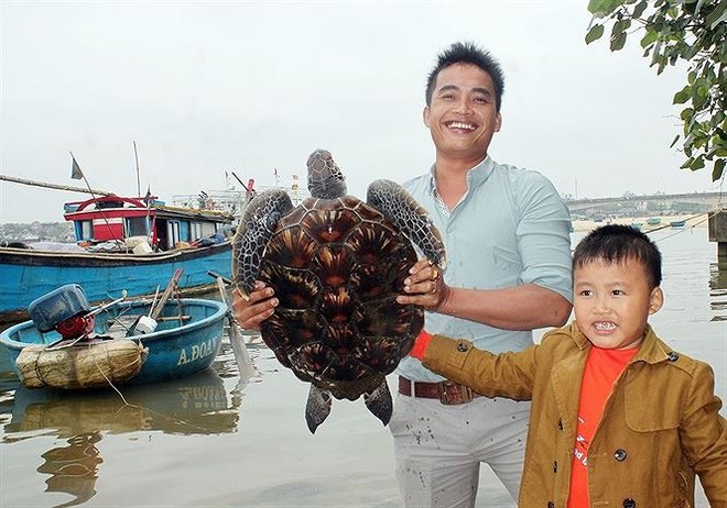 Ngư dân Quảng Trị bắt được rùa quý hiếm, nặng 12kg - Ảnh 1.