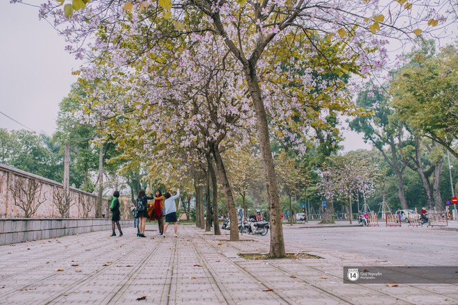 Hoa ban t&iacute;m nở rồi, &ocirc;i một g&oacute;c trời T&acirc;y Bắc giữa l&ograve;ng thủ đ&ocirc;! - Ảnh 11.