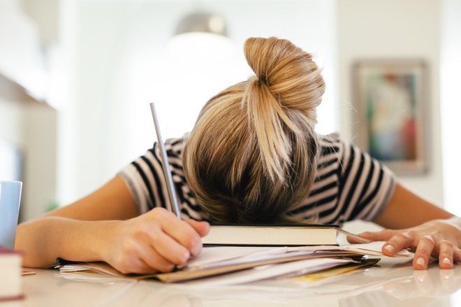 Xếp hạng 3 lí do khiến lớp học là nơi lý tưởng nhất để... ngủ - Ảnh 4.