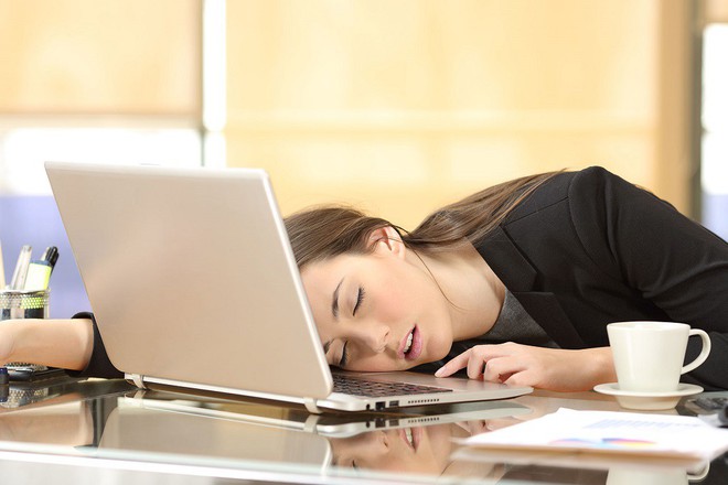 Xếp hạng 3 lí do khiến lớp học là nơi lý tưởng nhất để... ngủ - Ảnh 2.