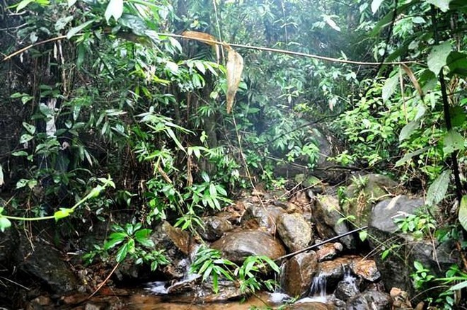 Huế: Phát hiện thi thể nam thanh niên 23 tuổi chết trong tư thế treo cổ bên bờ suối - Ảnh 1.