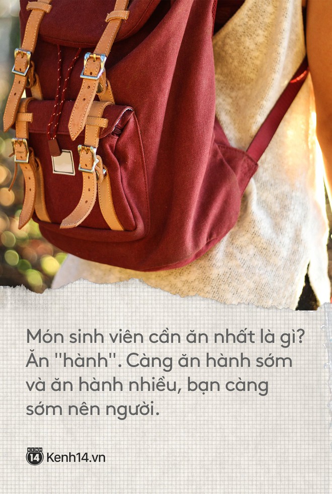 Thời sinh viên càng nhàn, quãng đời phía sau của bạn sẽ càng nhạt - Ảnh 2.