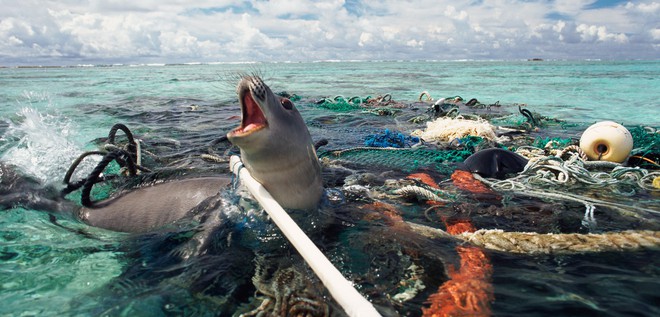 Gần 700 ngàn tấn sát thủ thầm lặng đang lọt ra các đại dương mỗi năm - Ảnh 3.