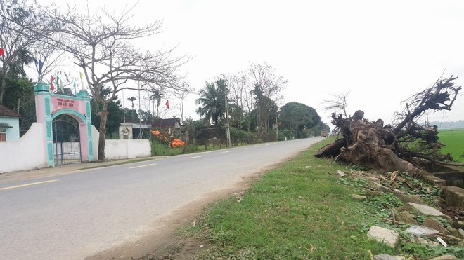 Khởi tố t&agrave;i xế g&acirc;y tai nạn l&agrave;m 7 người thương vong trong đ&ecirc;m Giao thừa - Ảnh 1.