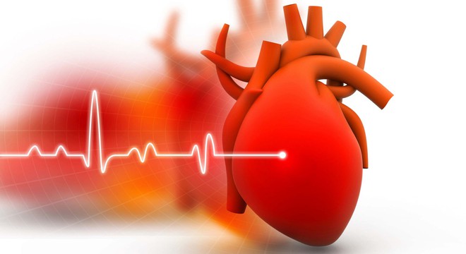 Các nhà nghiên cứu phát hiện bài tập đơn giản giúp giảm hơn 60% nguy cơ mắc bệnh tim ở nữ giới - Ảnh 4.