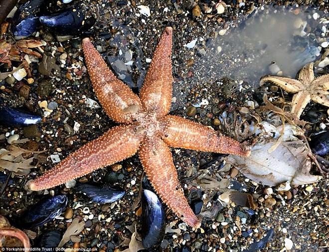 B&atilde;i chiến trường kinh khủng n&agrave;y l&agrave; kết quả sau khi cơn b&atilde;o Qu&aacute;i th&uacute; phương Đ&ocirc;ng c&agrave;n qu&eacute;t - Ảnh 4.